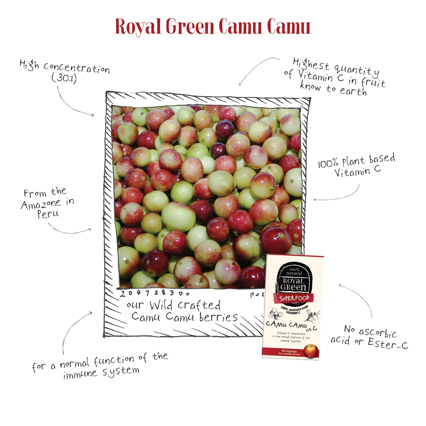 Camu Camu Vitamin C
