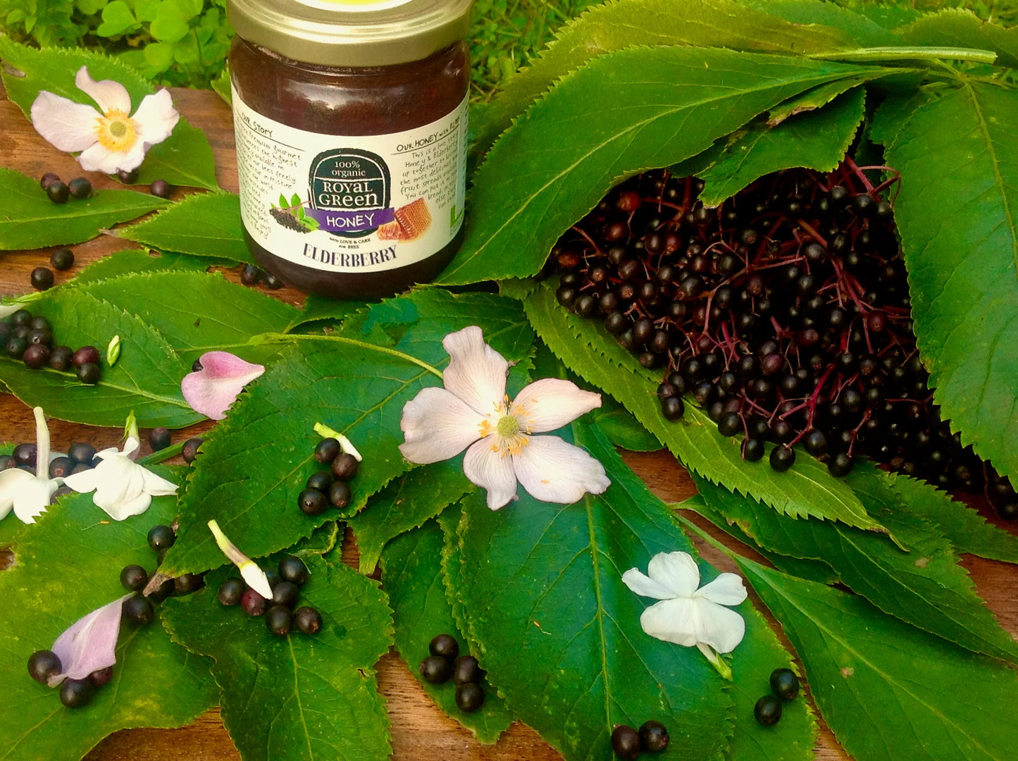 Organic Elderberry Honey