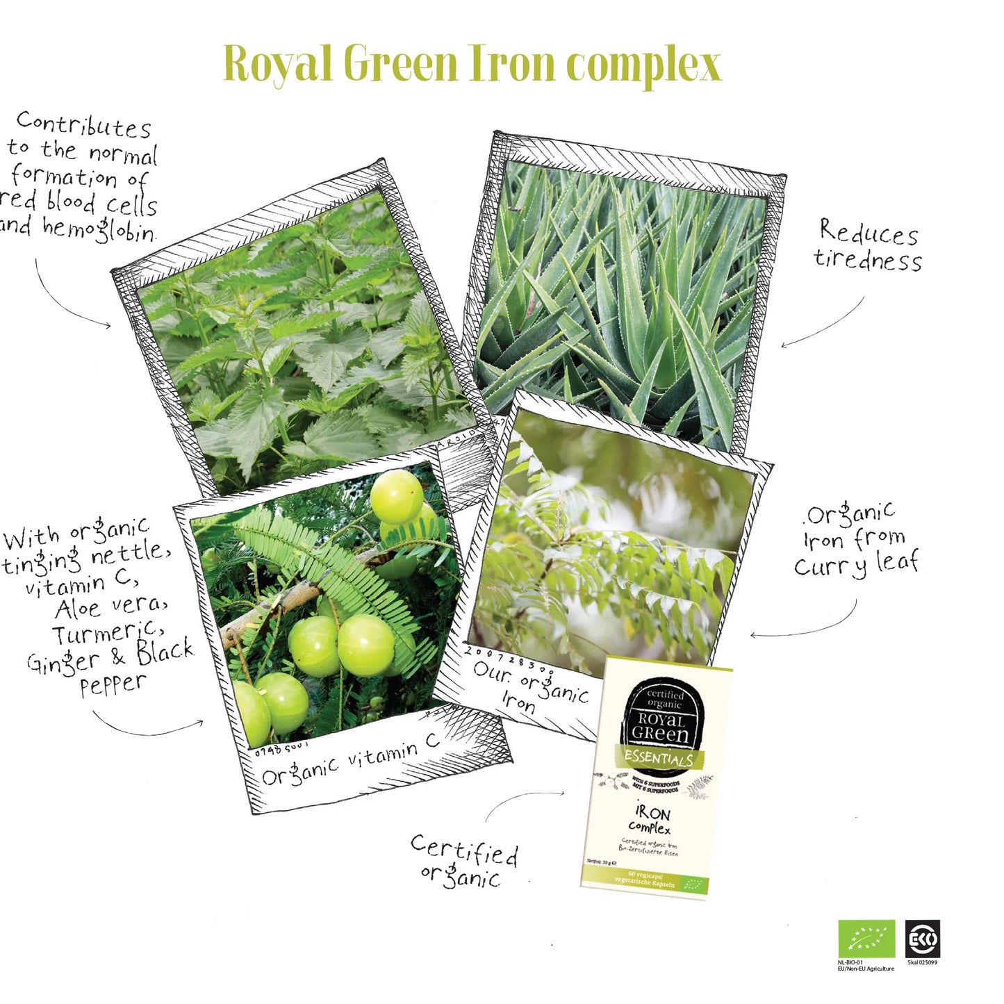 Iron Complex Bio
